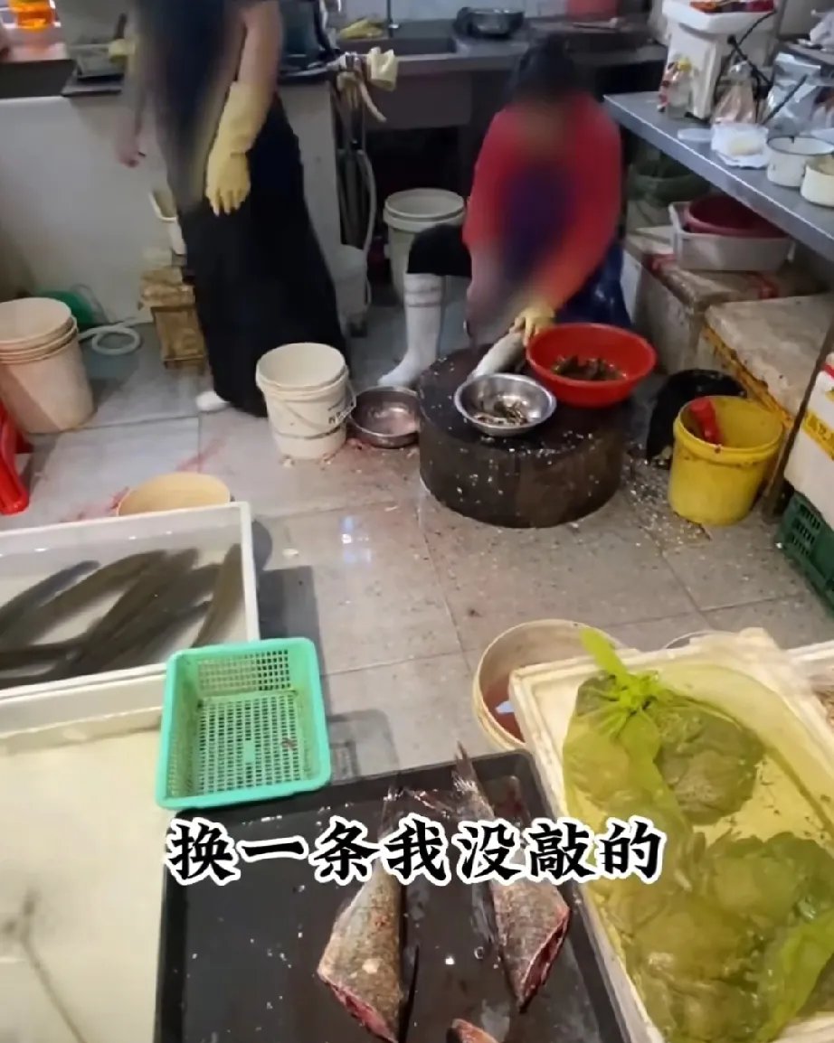 爱奇艺体育在线直播-知道荒木懂摇滚乐，但没想到他这么懂？的简单介绍