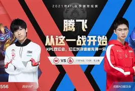 鏖战五局，暗影军团终于完成三杀，将战火烧向决赛的简单介绍